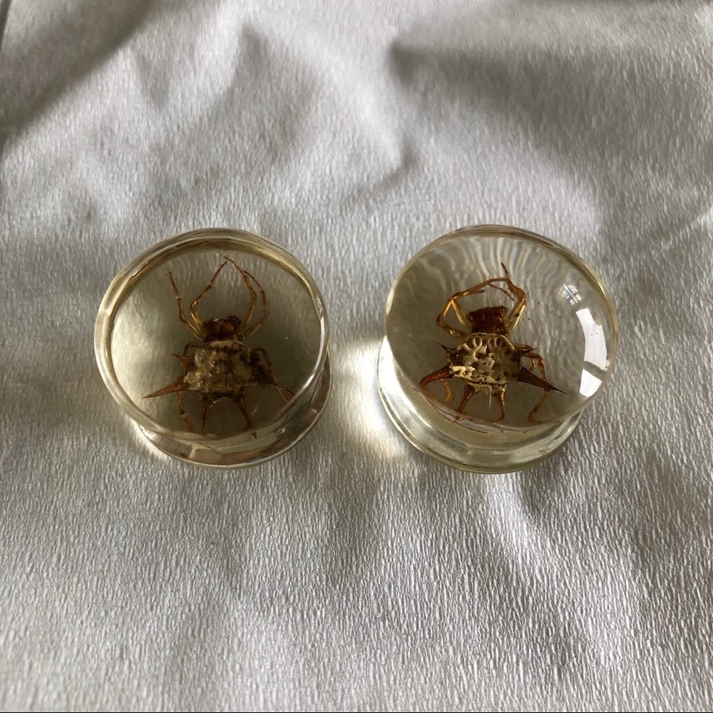 3/4” Acrylic Double Flare Spider Plugs Gauges
